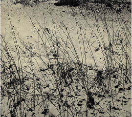 Mill Beck in Winter 2004, Gelatin silver print